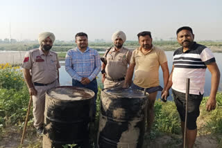 The Excise Department destroyed 13500 kg of Lahan in Nurmahal and Nakodar