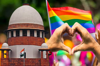 Same sex marriage is the concept of urban nobles, government said in SC, court cannot create new institution