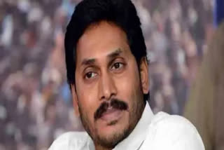 Andhra CM Jagan meets key leaders of YSR Congress