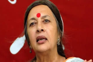 SC issues notice on Brinda Karat's plea seeking FIR against BJP leaders for hate speeches
