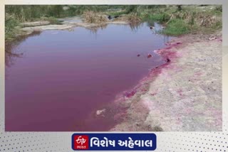 Rajkot News : ઉપલેટાની મોજ નદી લાલધૂમ બની, પાણી પ્રદૂષિત કેમ થયું તેની તપાસ કરવાની માંગ