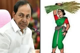Telangana CM announced support for JDS