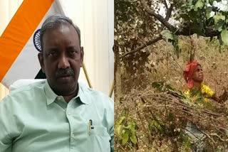 Palamu Kendu Leaf Naxali Extortion