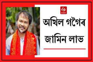 Akhil Gogoi bail