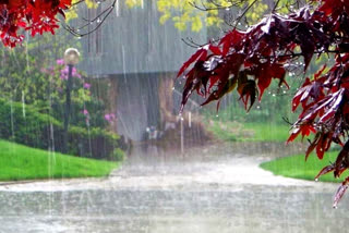 haryana imd forecast rain alert