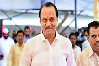 NCP Leader Ajit Pawar : NCP નેતા અજિત પવાર ભાજપ સાથે ગઠબંધન કરશે તેવી રાજ્યભરમાં જોરદાર ચર્ચા