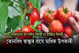 Desi Tomato may beneficial for health, know why it is better than Hybrid tomato