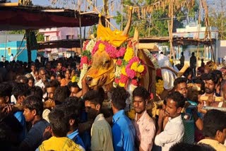 death of temple bull