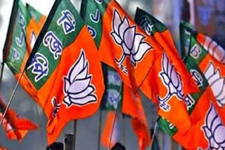 karnataka bjp rebels new candidates