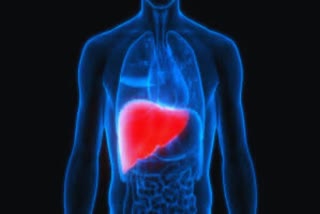 World Liver Day 2023