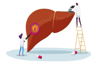 World Liver Day 2023: Make these lifestyle changes to have a healthy liver