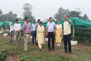 Orchid Garden in Jalpaiguri ETV BHARAT