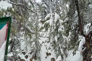 snowfall in harshil valley