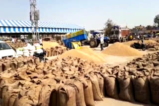 wheat procurement in Karnal