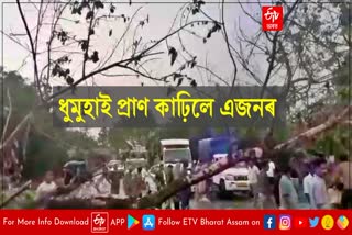 Heavy damage caused by stormy rains in Dhemaji