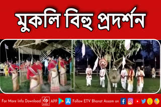 Rongali Bihu celebrated in Nagaon