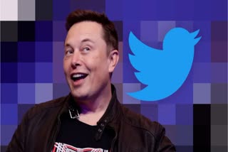 Twitter CEO Elon Musk