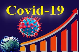 India reports 12,591 new covid cases