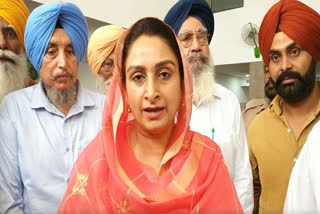 Harsimrat Kaur Badal Target AAP: Former Union Minister Harsimrat Kaur Badal reached Mansa, targeted the provincial government and the Center