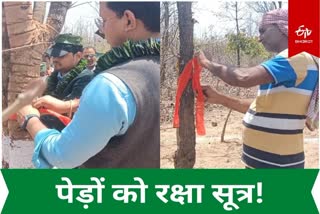 Shersinga villagers tied Raksha Sutra to trees to save forest In Koderma