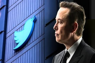 Elon Musk On Blue Tick Removed