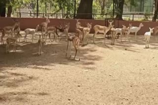 Jawaharlal Nehru Biological Park