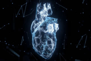 Scientists Develop Mini Heart