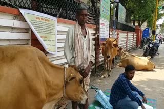 land dispute in balangir