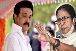 MAMATA CALLS UP STALIN TO FORMULATE STRATEGY