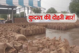 Weather changed in Haryana Rain soaked grain in Karnal