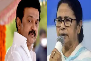 Mamata Talks To Stalin: Mamta Banerjee talks to Stalin to strategize about the role of Governor