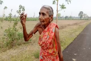 Elderly woman walking with the help of a chair for pension
