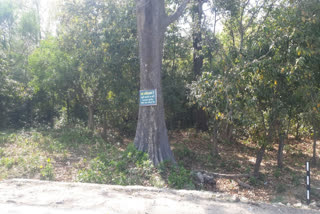 A sign board installed in Rajaji National Park