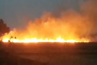 मसौढ़ी ग्रामीण क्षेत्रों के खेतों में जल रहे पराली