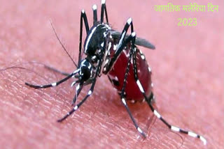 World Malaria Day 2023