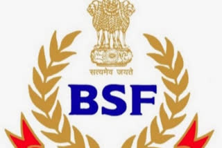 bsf saves girl from drowning