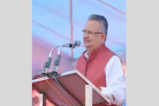 Raman Singh