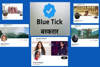 Twitter Blue Tick
