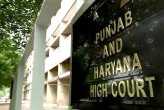 punjab haryana high court