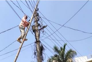 Raipur wireman job