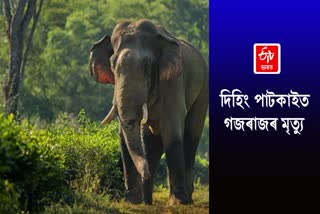 Elephant body rescued in Dehing Patkai