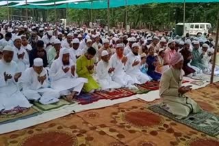 muslim community celebrates eid