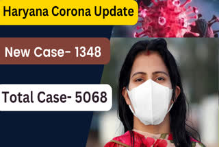 haryana corona case in 24 hours