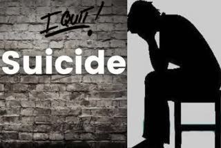 Depression is the main cause of suicide