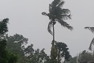 Rain in Jamtara