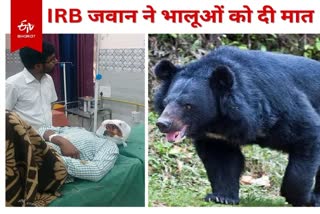 jharkhand-irb-jawan-injured-in-wild-bear-attack-in-latehar