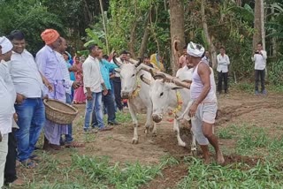 କୃଷକ ଯନ୍ତ୍ରପାତି ପୂଜାର୍ଚ୍ଚନା ପରେ ଚାଷକାର୍ଯ୍ୟ ଆରମ୍ଭ କଲେ ଚାଷୀ