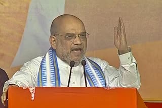 union Minister Amit Shah spoke.