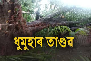 Heavy Storm at various Places in Dhemaji)