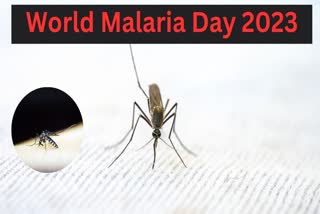 world malaria day 2023
